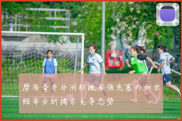 摩洛哥夺非洲杯概率领先塞内加尔赔率分析揭示竞争态势